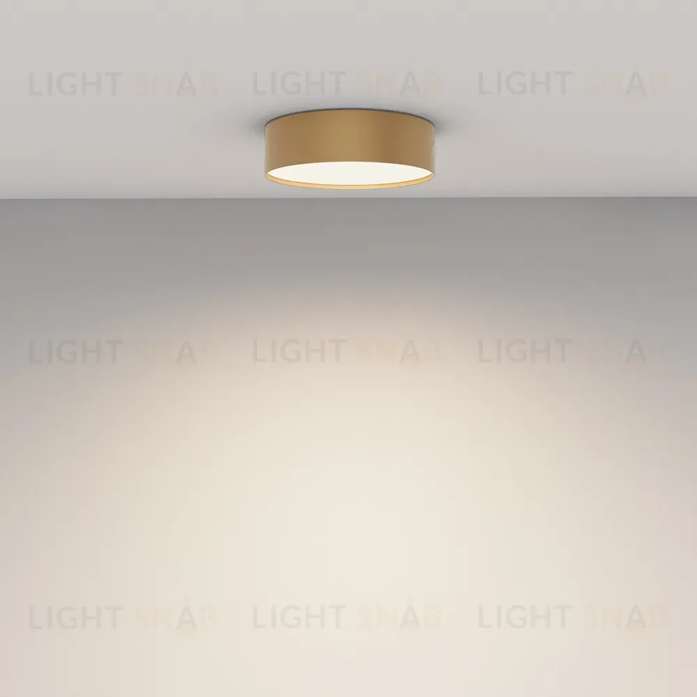 Потолочный светильник Maytoni Technical Ceiling Zon C032CL-24W4K-RD-MG C032CL-24W4K-RD-MG