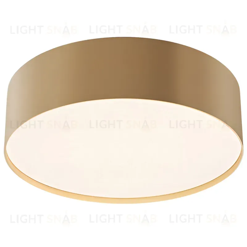 Потолочный светильник Maytoni Technical Ceiling Zon C032CL-24W4K-RD-MG C032CL-24W4K-RD-MG