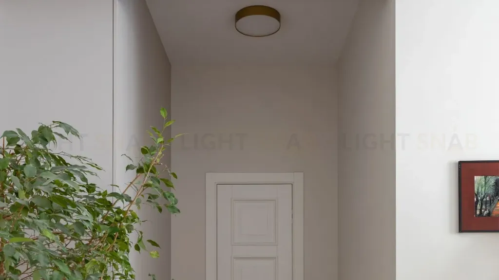 Потолочный светильник Maytoni Zon C032CL-36W4K-RD-MG C032CL-36W4K-RD-MG