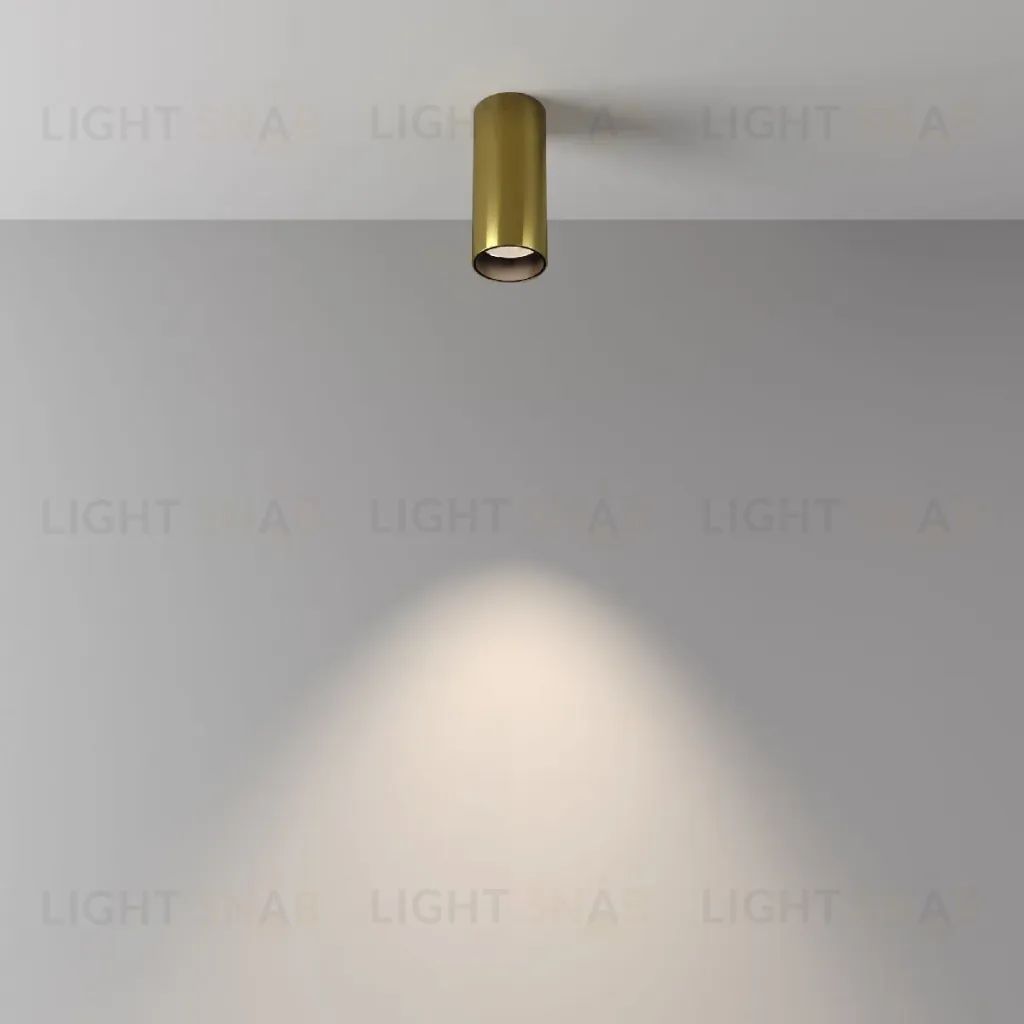 Накладной светильник Maytoni Focus Led C056CL-L12W4K-W-BS C056CL-L12W4K-W-BS