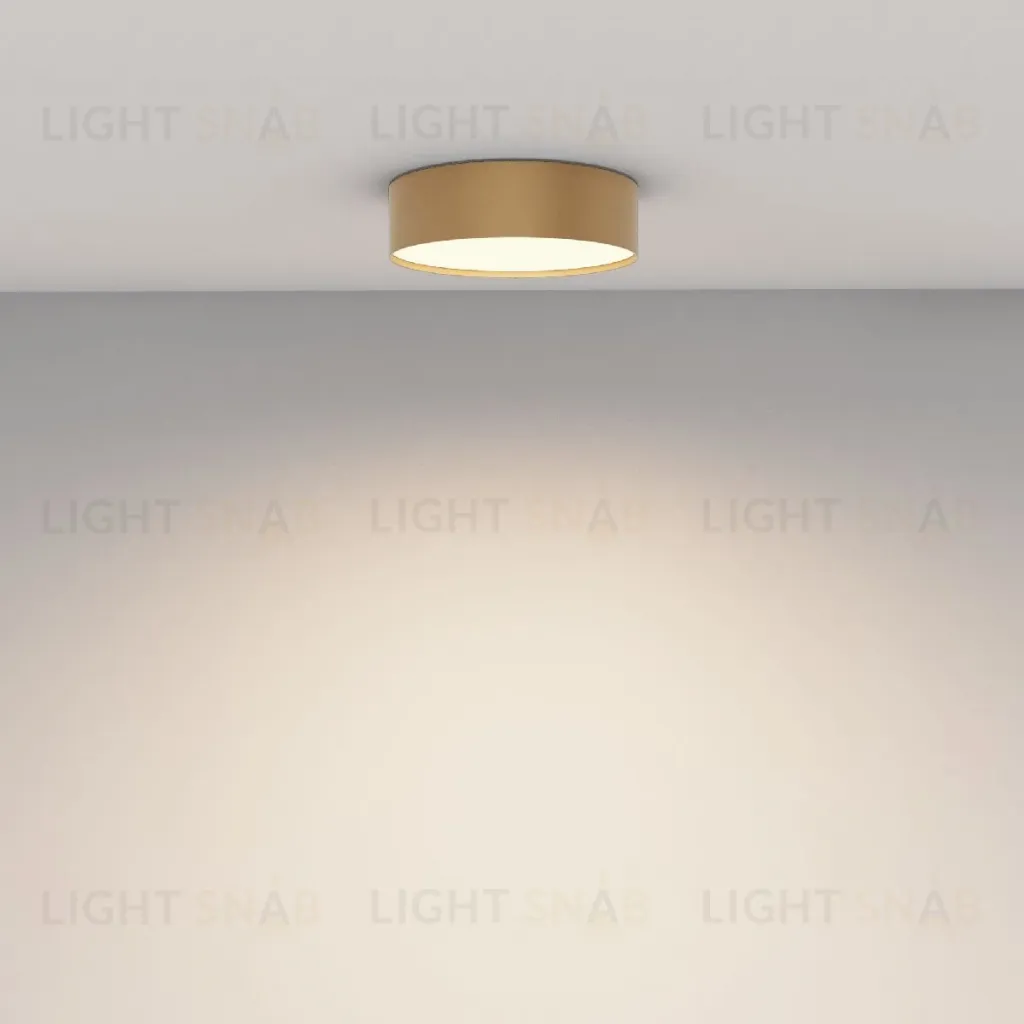 Накладной светильник Maytoni Zon C032CL-24W3K-RD-MG C032CL-24W3K-RD-MG