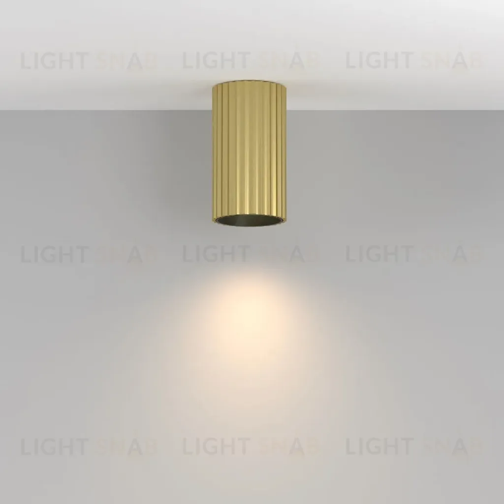 Накладной светильник Maytoni Calipso C106CL-01-GU10-BS C106CL-01-GU10-BS