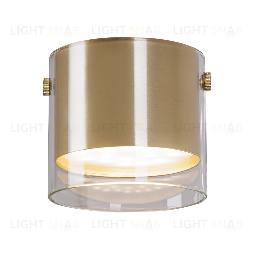 Накладной светильник Arte Lamp Lazio A5366PL-1SG A5366PL-1SG