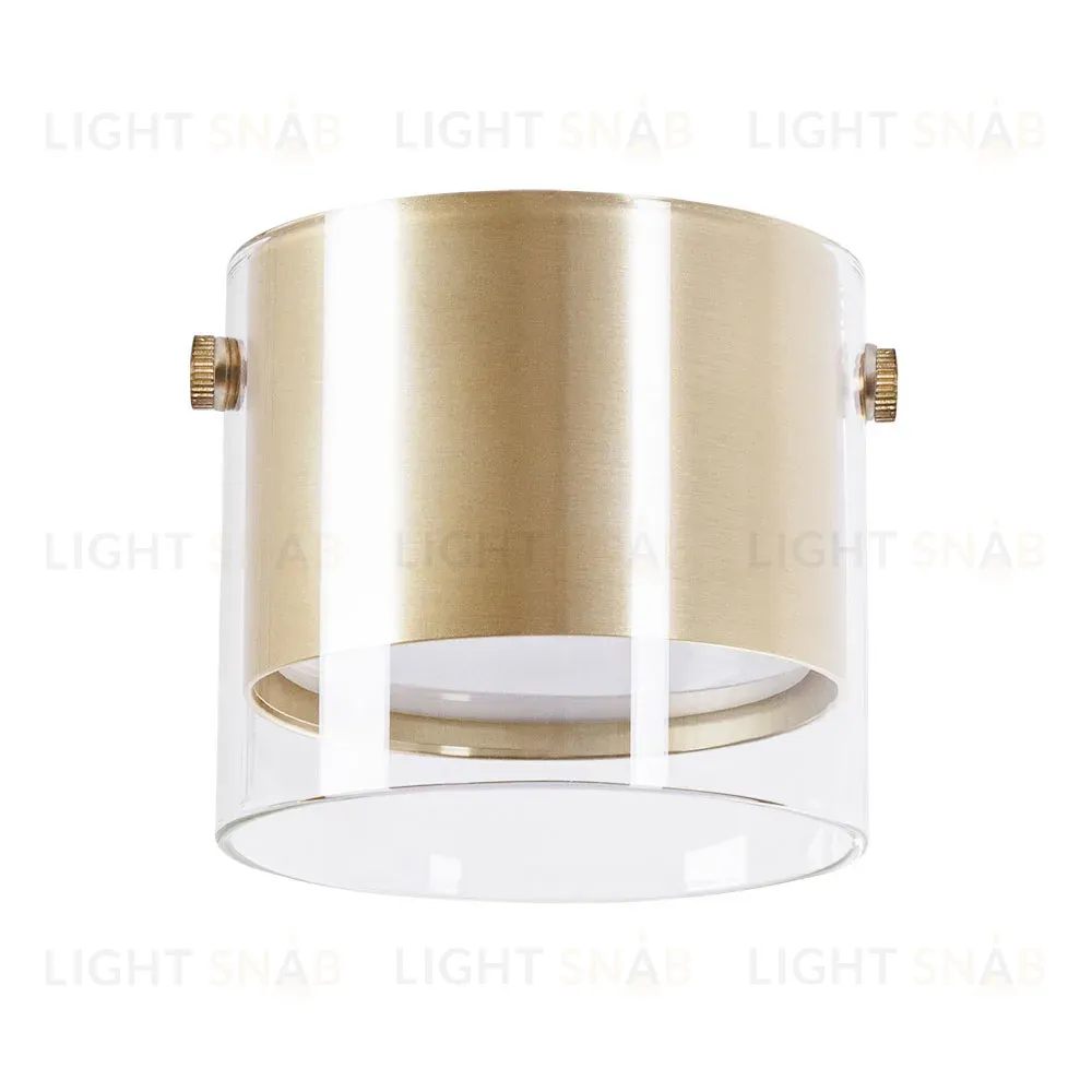 Накладной светильник Arte Lamp Lazio A5366PL-1SG A5366PL-1SG