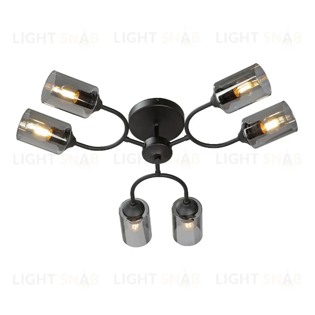 Потолочная люстра Vitaluce V2823-1/6PL V2823-1/6PL