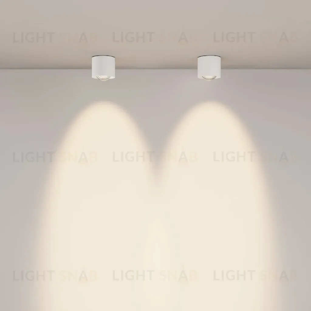 Накладной светильник Maytoni Lens C217CL-15W3K-W C217CL-15W3K-W