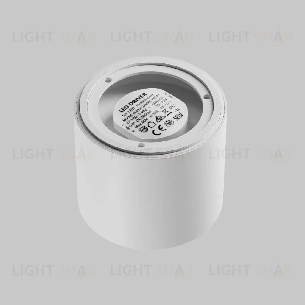 Накладной светильник Maytoni Lens C217CL-15W3K-W C217CL-15W3K-W
