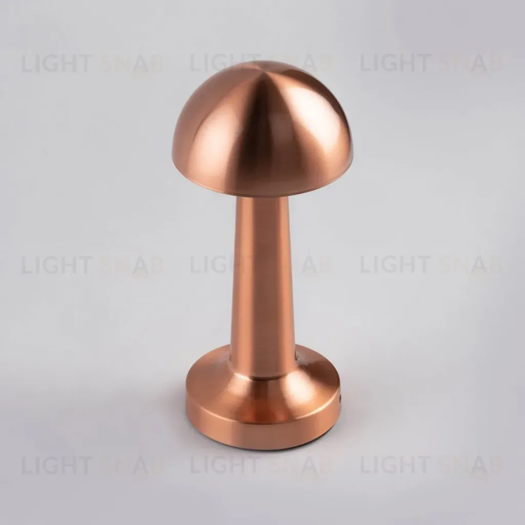 Настольная лампа Escada Evo 10257/L LED 10257/L LED