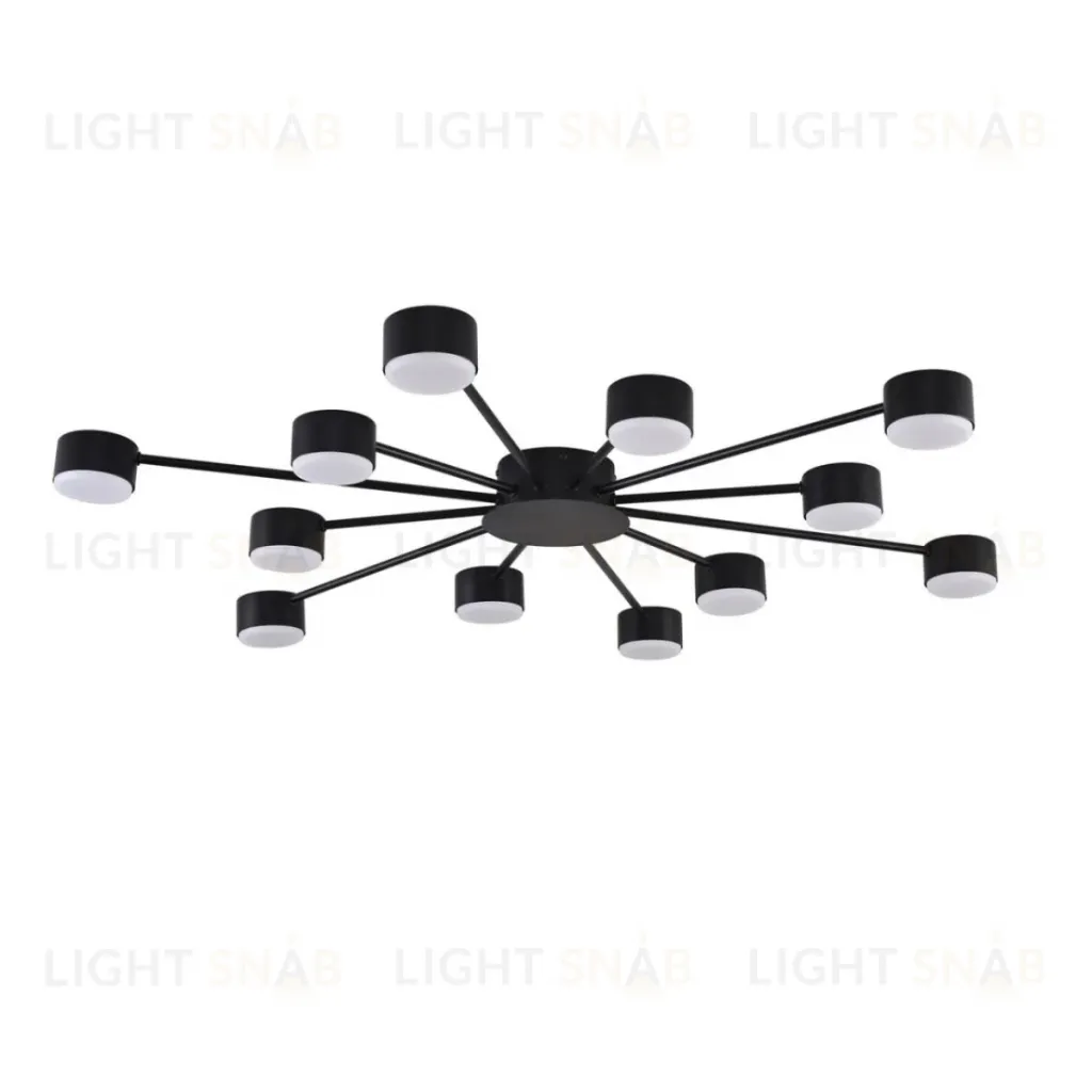 Потолочная люстра Lumion Comfi Torina 8344/12C 8344/12C
