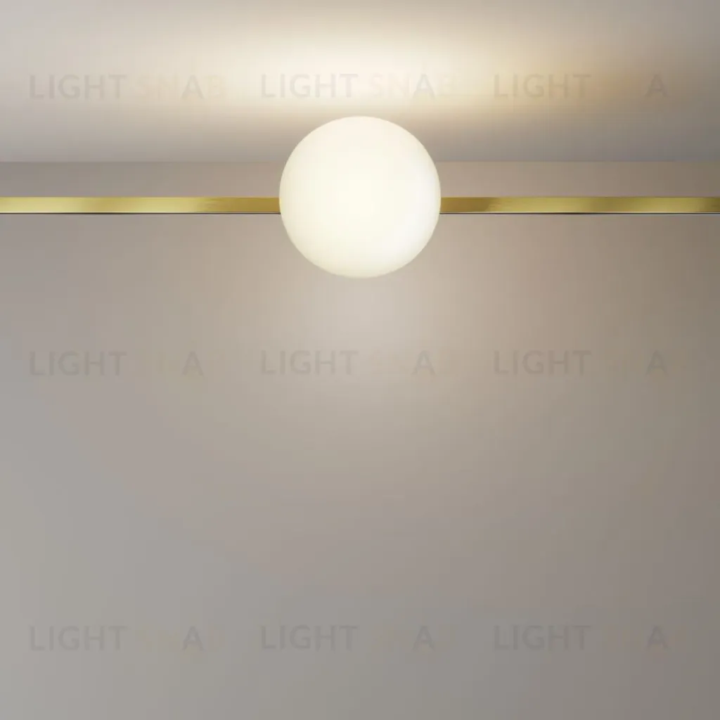 Трековый магнитный светильник Maytoni Technical Luna TR229-1-8W3K-BS TR229-1-8W3K-BS
