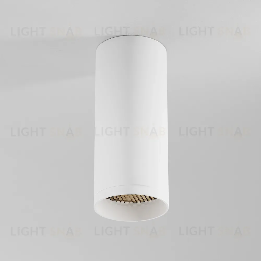 Потолочный светильник Maytoni Focus C010CL-01W-N C010CL-01W-N