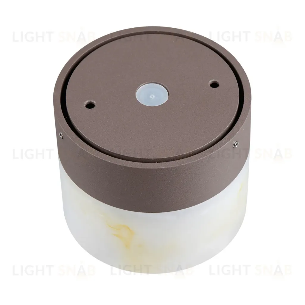 Настенный светильник Odeon Light Nature Candela 7190/6WL 7190/6WL