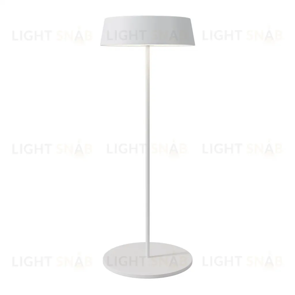 Уличный переносной аккумуляторный светильник Maytoni Porto O540TL-L2WCCT O540TL-L2WCCT