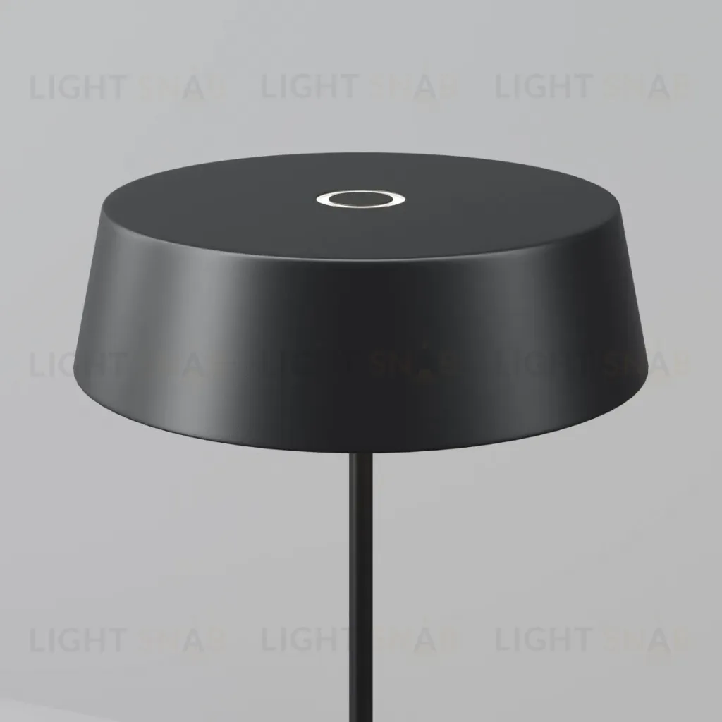 Уличный переносной аккумуляторный светильник Maytoni Porto O540TL-L2BCCT O540TL-L2BCCT