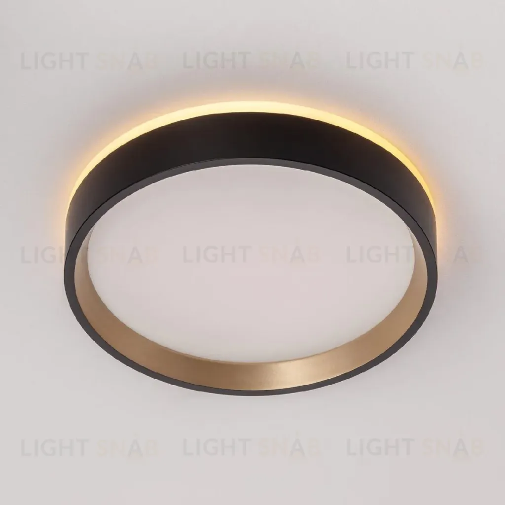 Настенно-потолочный светильник Citilux Etalon CL750181 CL750181