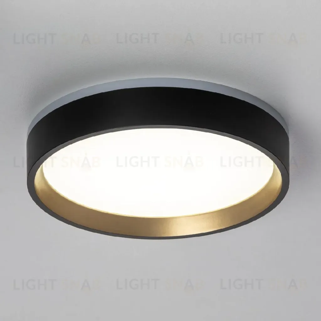 Настенно-потолочный светильник Citilux Etalon CL750181 CL750181