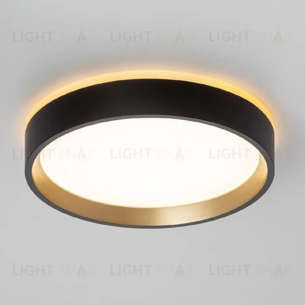 Настенно-потолочный светильник Citilux Etalon CL750181 CL750181