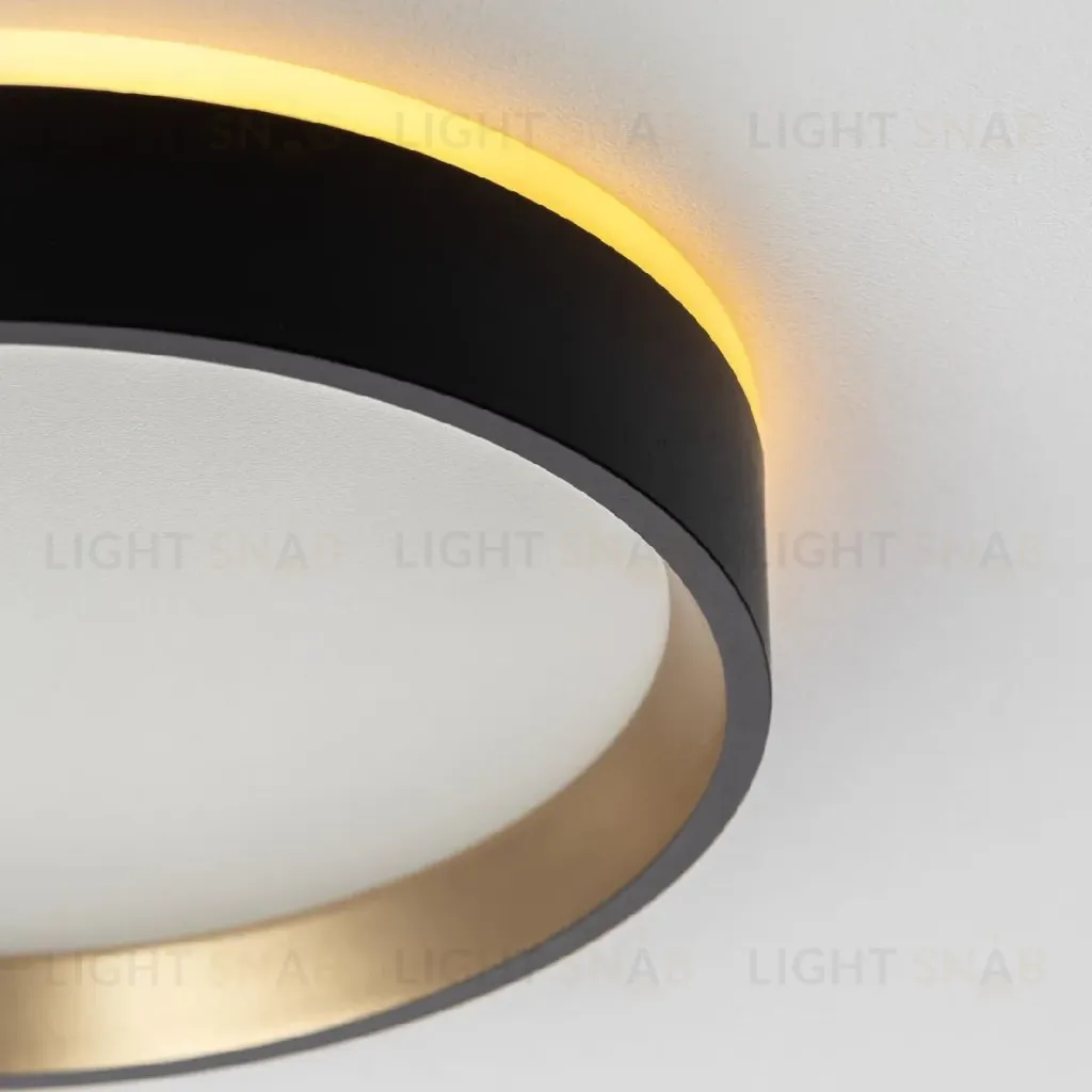 Настенно-потолочный светильник Citilux Etalon CL750181 CL750181
