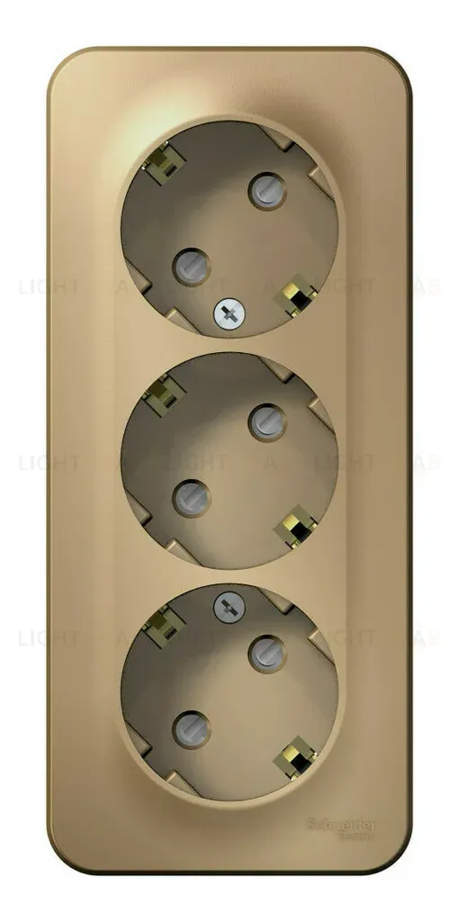 Розетка 3-ая с/з со шторками 16А, 250В, изолир. Пластина Systeme Electric Blanca наруж Титан BLNRA011314 BLNRA011314
