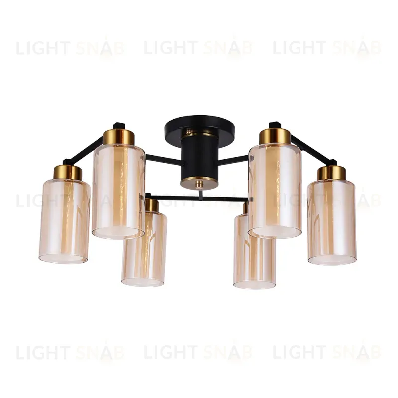 Потолочная люстра Arte Lamp Leo A7027PL-6BK A7027PL-6BK