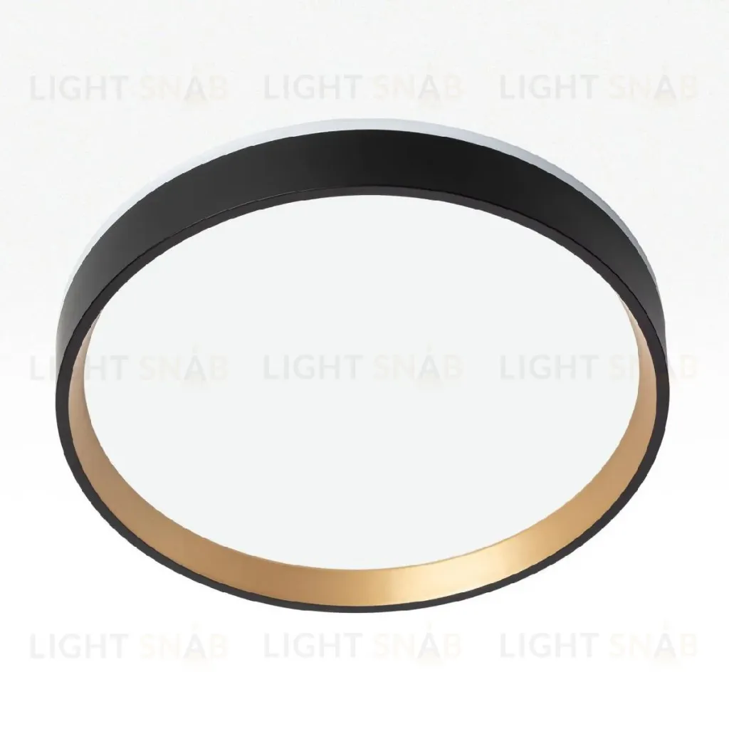 Настенно-потолочный светильник Citilux Etalon CL750241 CL750241