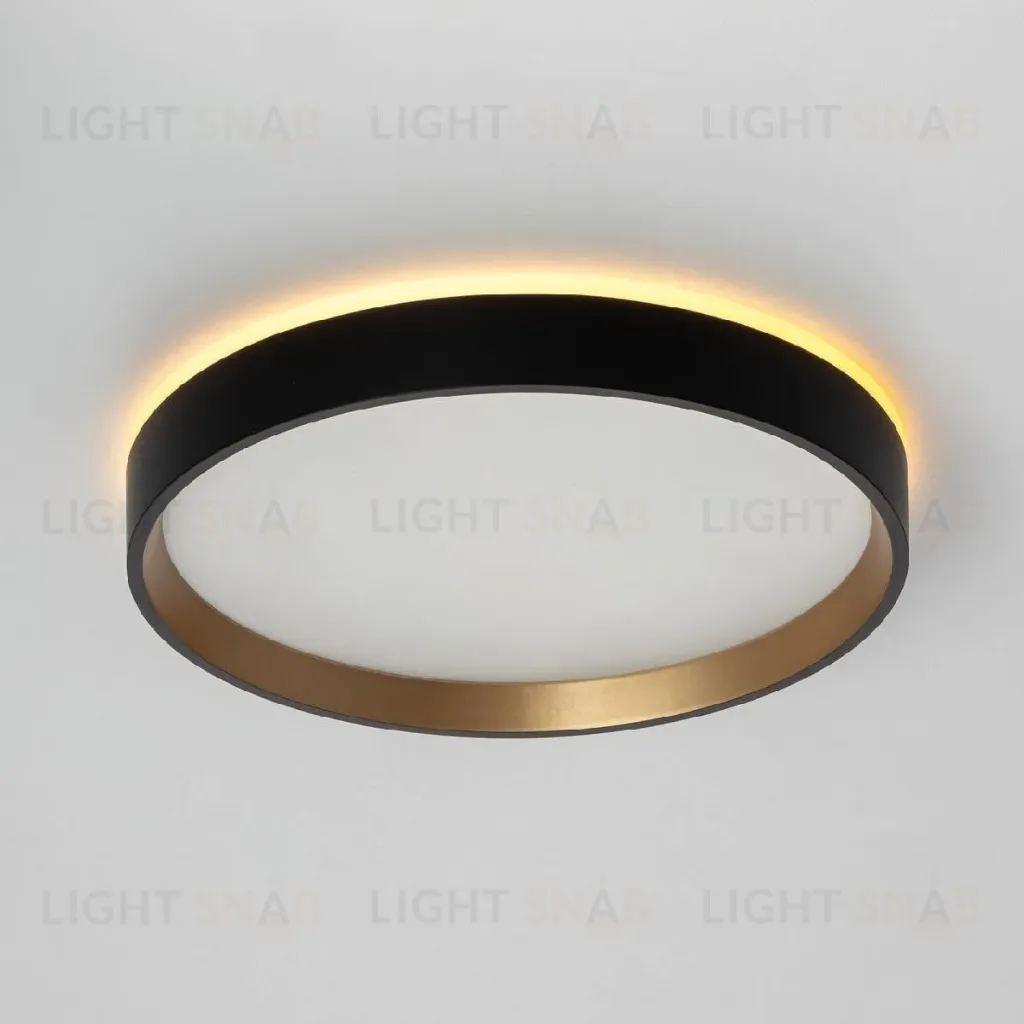 Настенно-потолочный светильник Citilux Etalon CL750241 CL750241