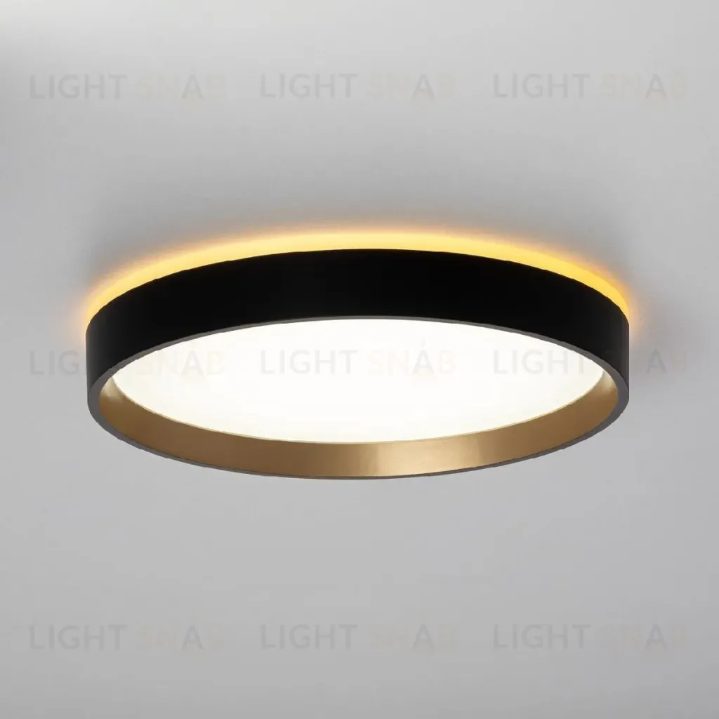 Настенно-потолочный светильник Citilux Etalon CL750241 CL750241