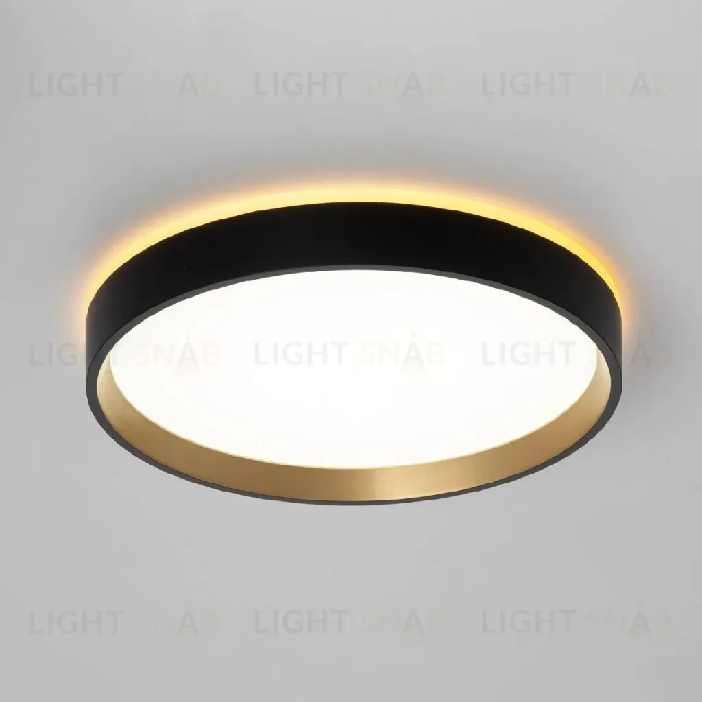 Настенно-потолочный светильник Citilux Etalon CL750241 CL750241