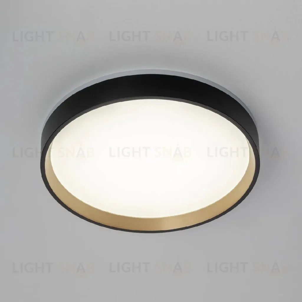 Настенно-потолочный светильник Citilux Etalon CL750241 CL750241