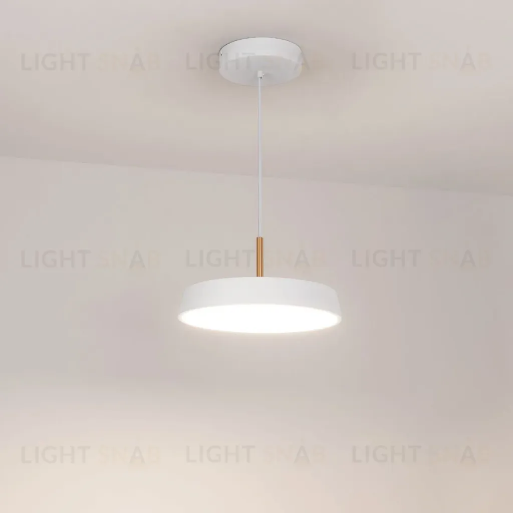 Подвесной светильник Arlight SP-ELEGANT-R300-17W Day4000 (WH, 120 deg, 230V) 033919(1) 033919(1)