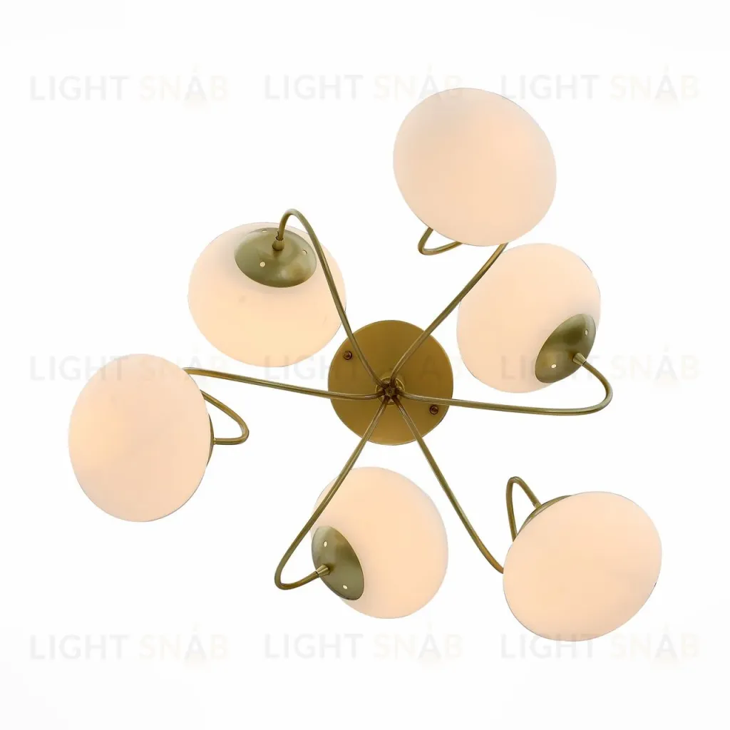 Потолочная люстра ST Luce Acini SL717.202.06 SL717.202.06