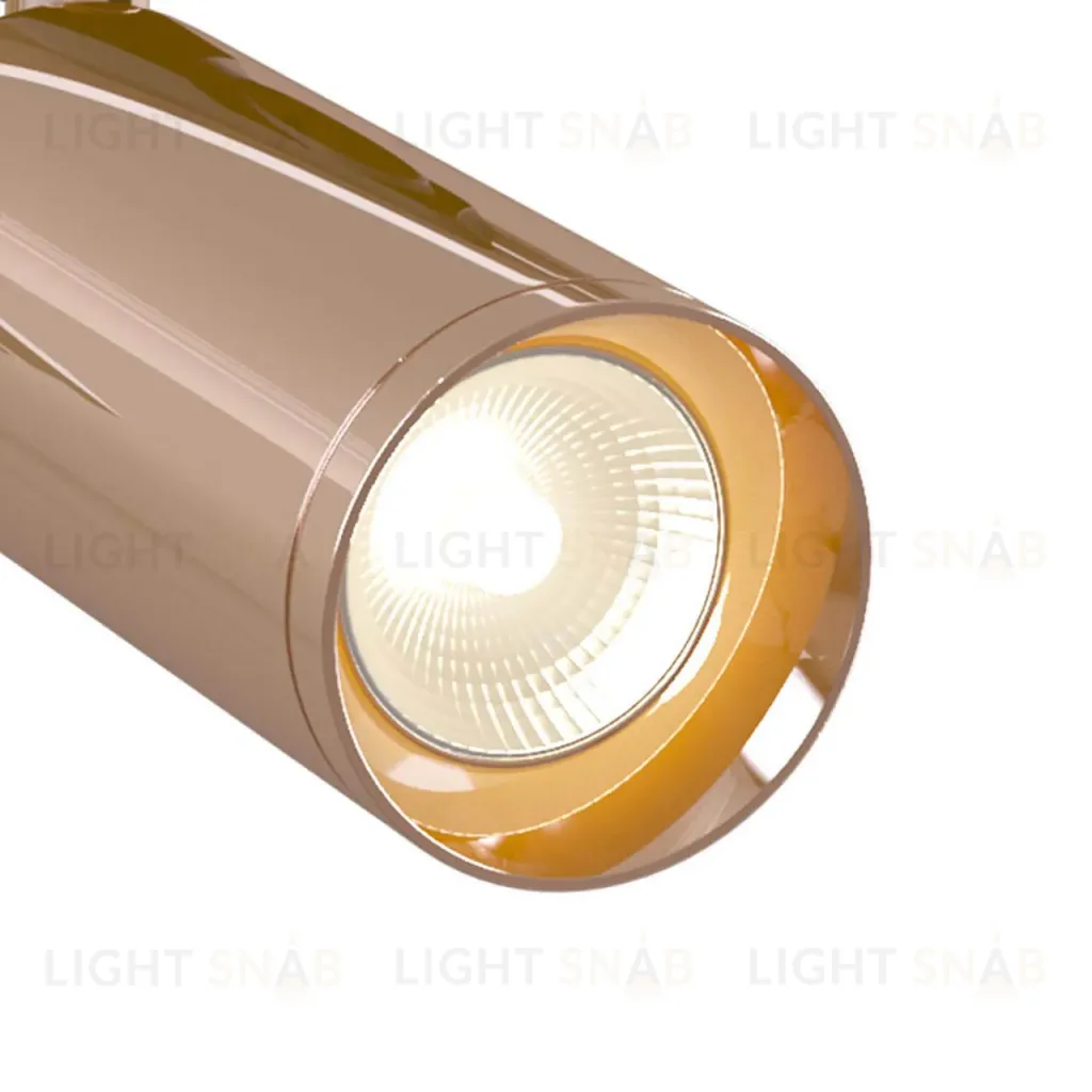 Трековый светильник Maytoni Track lamps TR004-1-GU10-RG TR004-1-GU10-RG