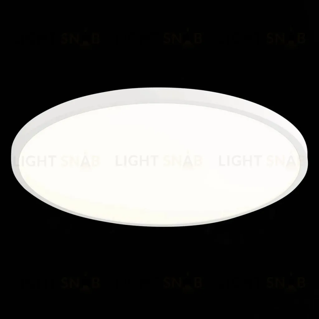 Настенно-потолочный светильник ST Luce ST601.542.48 ST601.542.48