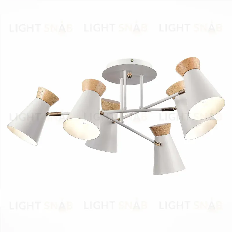 Потолочная люстра Evoluce Alfeo SLE1252-502-06 SLE1252-502-06