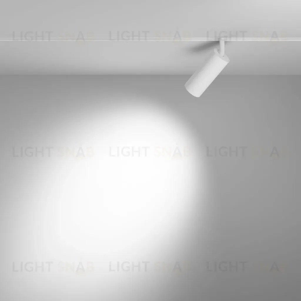 Трековый магнитный светильник Maytoni Focus LED TR032-4-12WTW-S-DD-W TR032-4-12WTW-S-DD-W