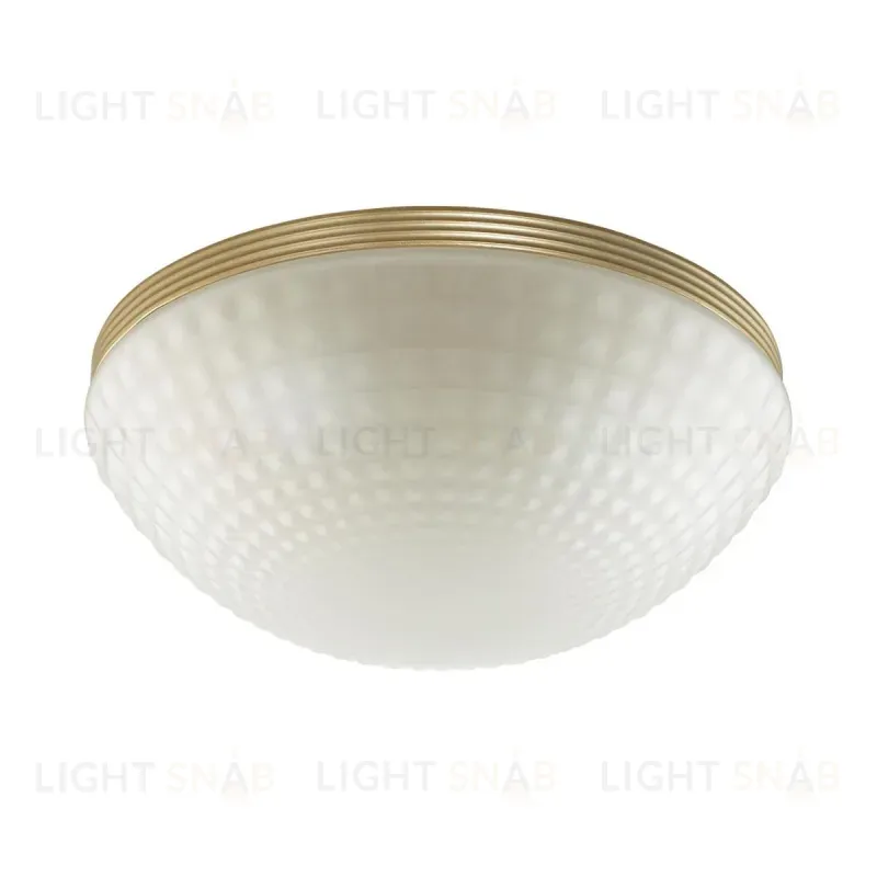 Потолочный светильник Odeon Light Malaga 4936/3C 4936/3C