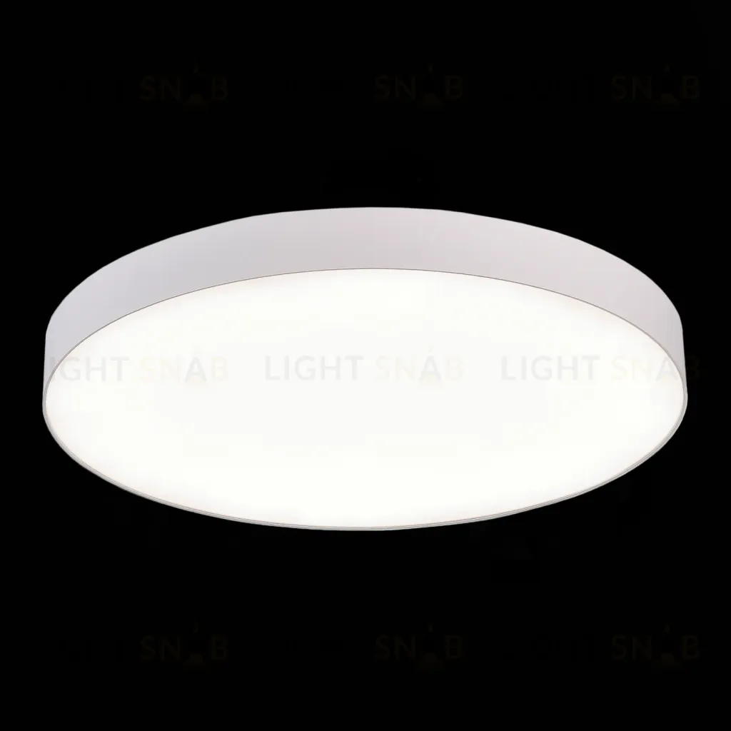 Потолочный светильник ST Luce ST606.542.96 ST606.542.96