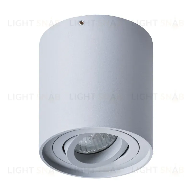 Потолочный светильник Arte Lamp Falcon A5645PL-1GY A5645PL-1GY
