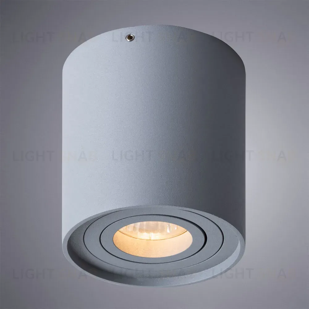 Потолочный светильник Arte Lamp Falcon A5645PL-1GY A5645PL-1GY