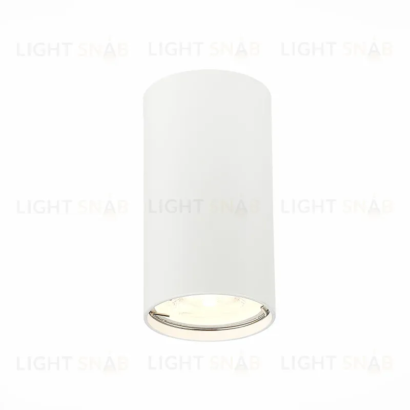 Потолочный светильник ST LUCE ST110.507.01 ST110.507.01