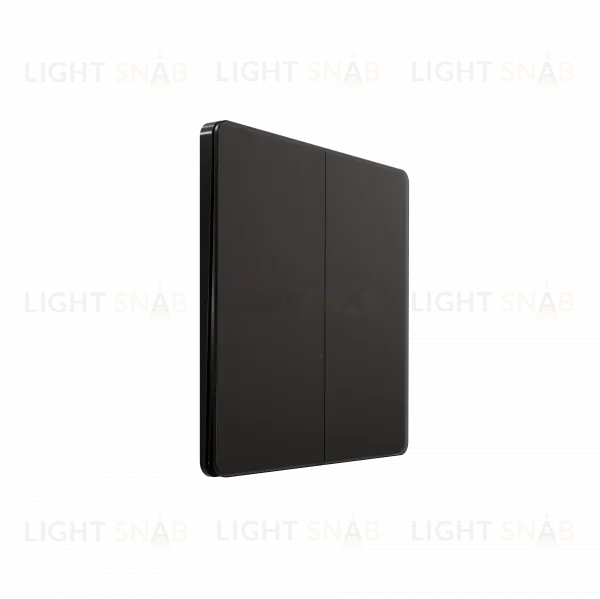 Выключатель/Переключатель 2-клавишный, 10А Systeme Electric Systeme Infinity Полярная ночь FSE001065 FSE001065