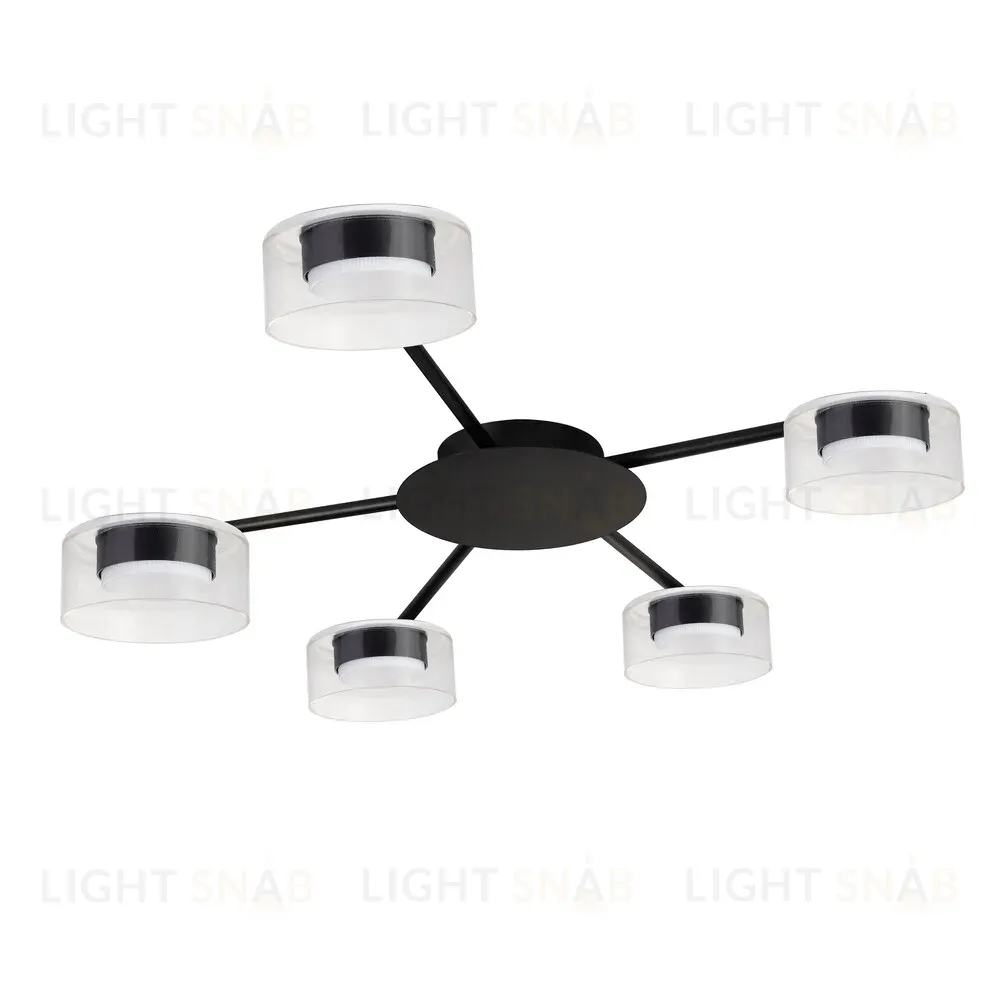 Потолочная люстра Arte Lamp Alius A8042PL-5BK A8042PL-5BK