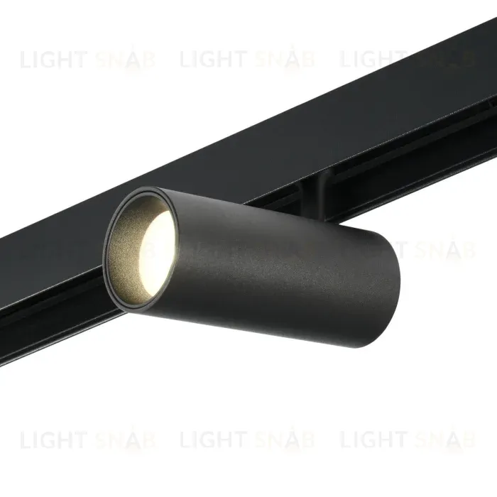 Трековый магнитный светильник MyFar Рэй MT0240-12WSM-Z-B MT0240-12WSM-Z-B