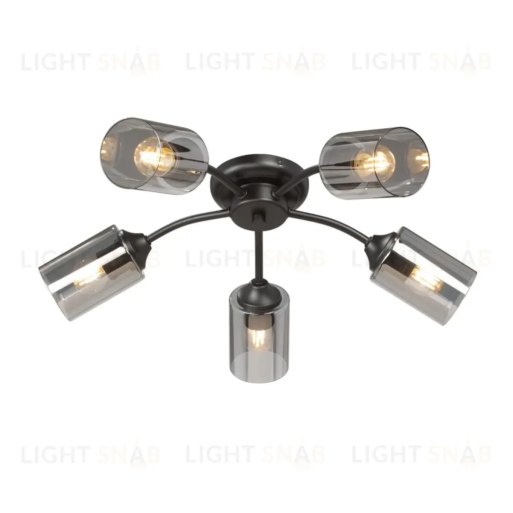Потолочная люстра Vitaluce V2558-1/5PL V2558-1/5PL