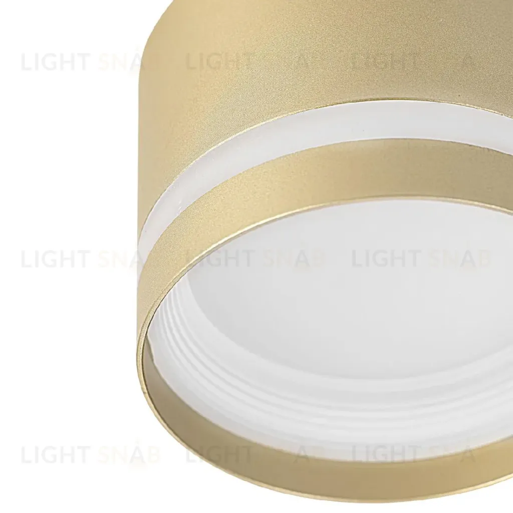 Накладной светильник Citilux Hardy CL002C12 CL002C12
