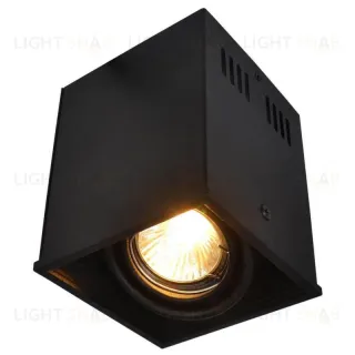 Потолочный светильник Arte Lamp Cardani A5942PL-1BK A5942PL-1BK