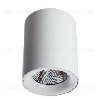Потолочный светодиодный светильник Arte Lamp Facile A5118PL-1WH A5118PL-1WH