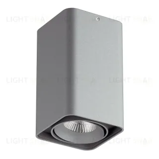 Потолочный светодиодный светильник Lightstar Monocco 052139 052139