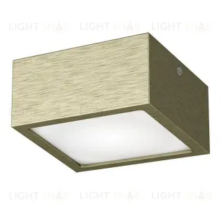 Потолочный светодиодный светильник Lightstar Zolla 213921 213921
