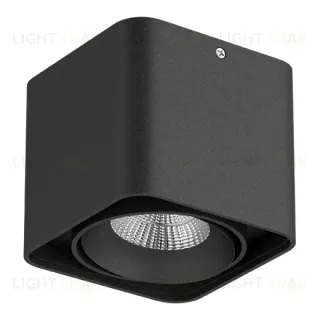 Потолочный светильник Lightstar Monocco 212517 212517
